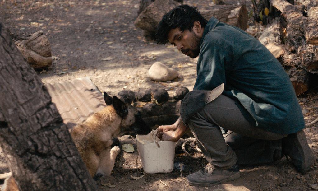 La Couleuvre noire - © Dublin Films - Burning - Vulcana Cinéma - 2025 La Couleuvre noire - © Dublin Films - Burning - Vulcana Cinéma - 2025