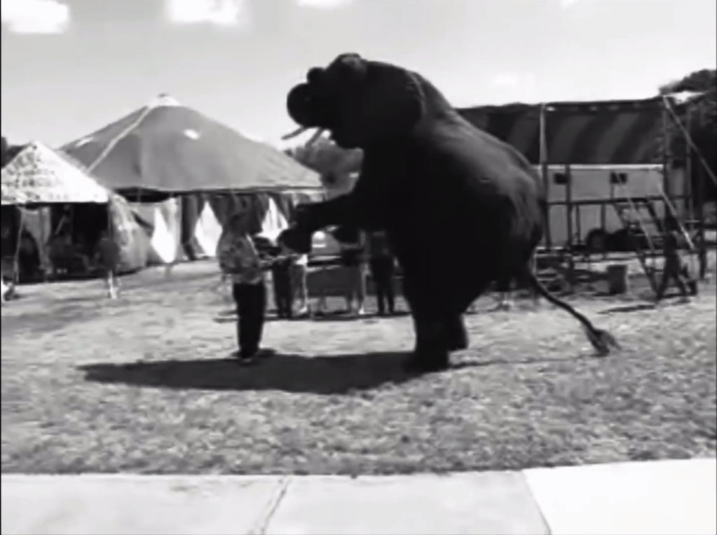 Le Fol Espoir Le Fol Espoir