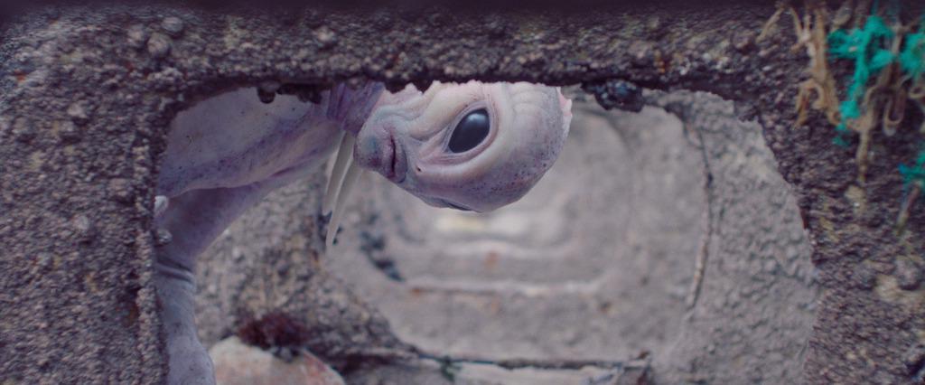 Uppsala International Short Film Festival - 2018