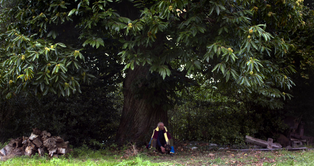 Sous le vieux châtaignier Sous le vieux châtaignier