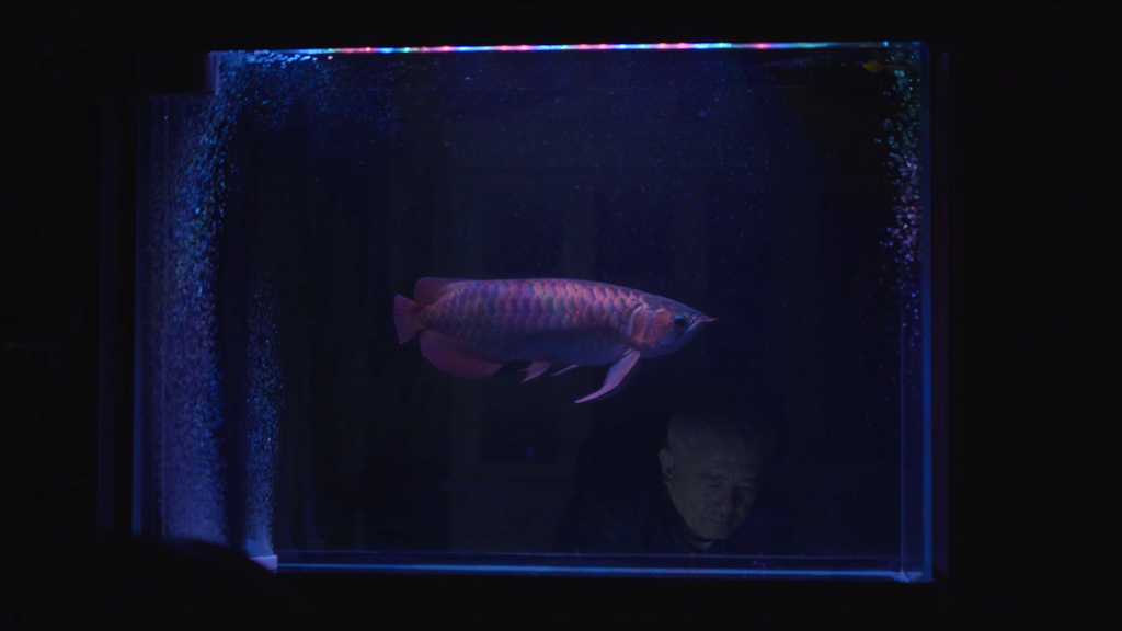 The Moon Also Rises The Moon Also Rises