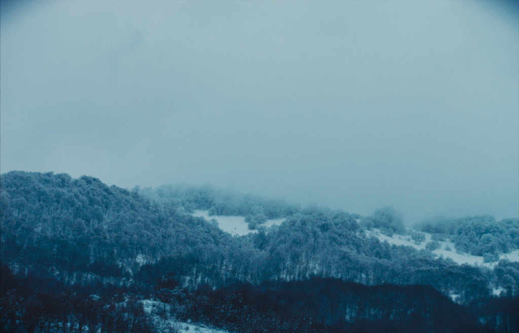 In Silence Everything Roars In Silence Everything Roars