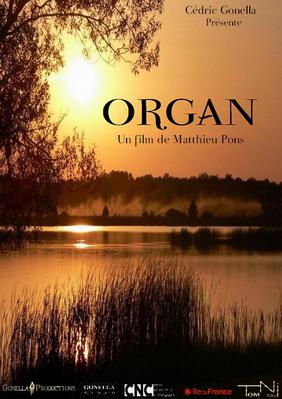 Organ Organ