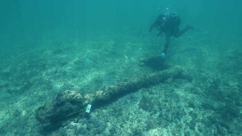 St&eacute;phane B&eacute;goin