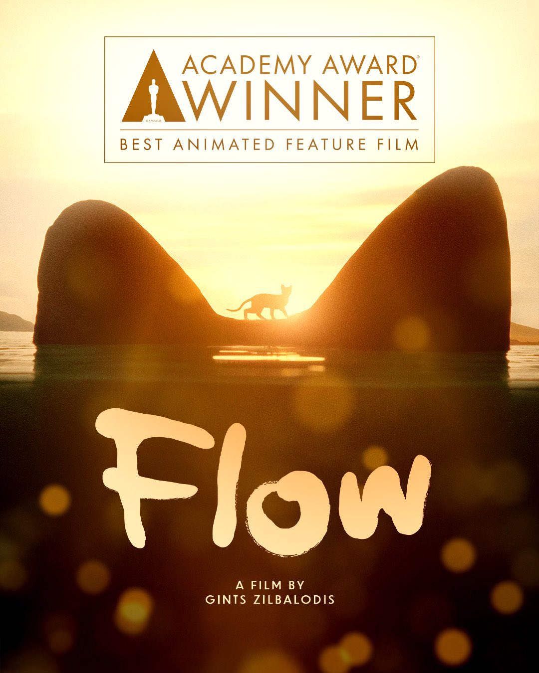 French animation in international events French animation in international events