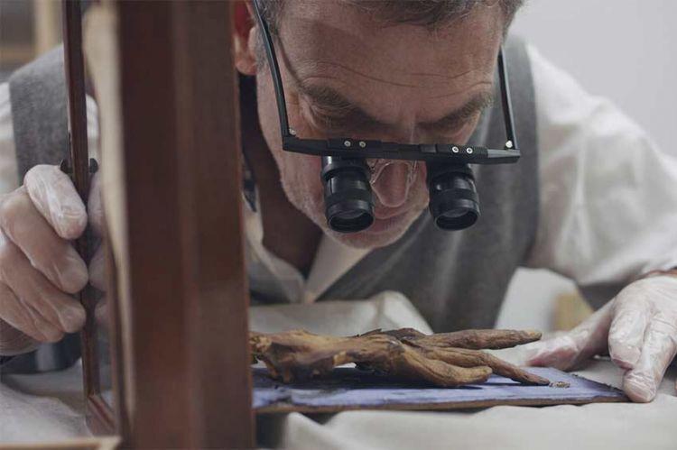 Cléopâtre, mais où se trouve sa momie ? Cléopâtre, mais où se trouve sa momie ?