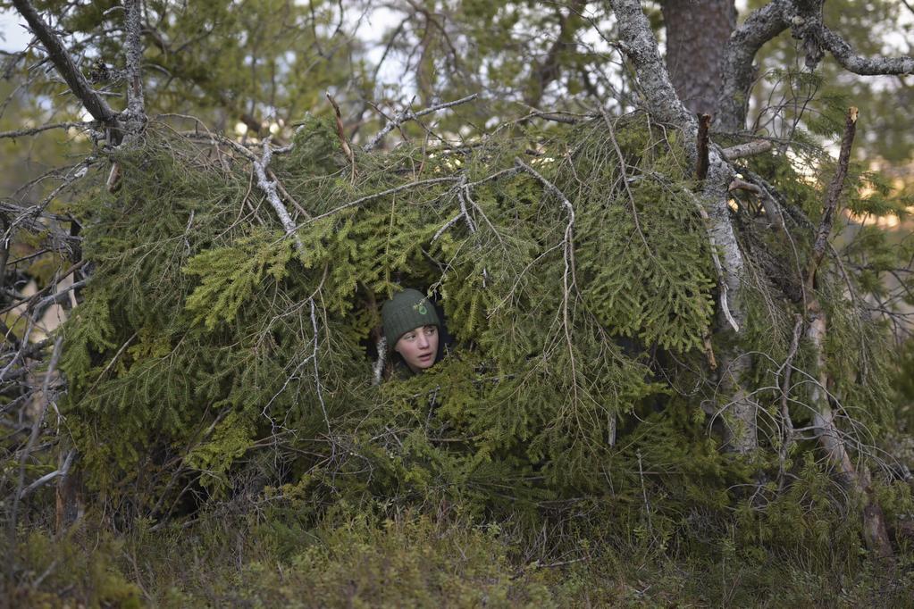 Le Chant des forêts - © Vincent Munier Le Chant des forêts - © Vincent Munier