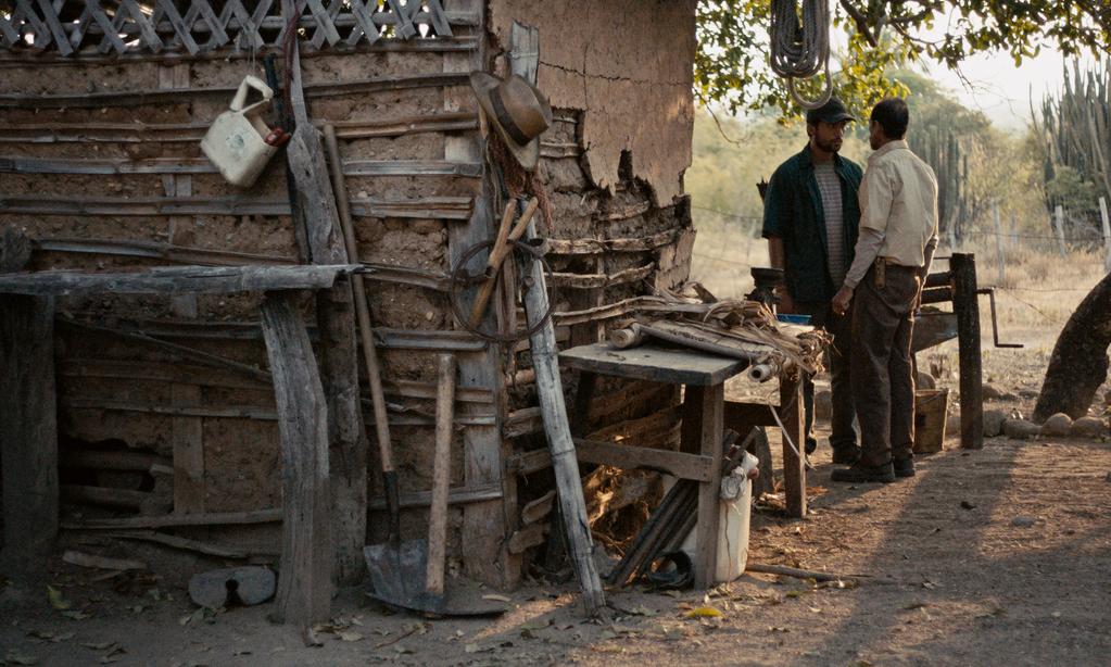 The Black Snake - © Dublin Films - Burning - Vulcana Cinéma - 2025 The Black Snake - © Dublin Films - Burning - Vulcana Cinéma - 2025