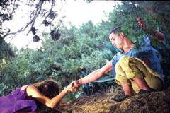 The Little Wild Onces The Little Wild Onces