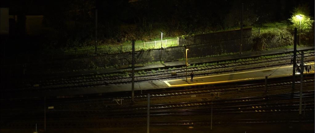 Night Lights Night Lights