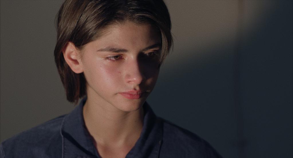 Les Reptiles Les Reptiles