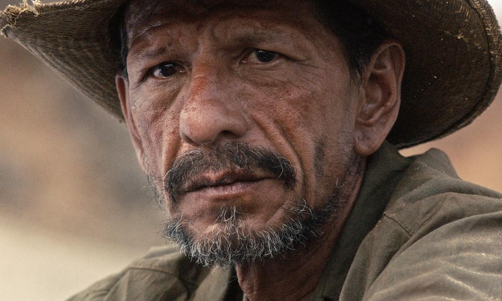 The Black Snake - © Dublin Films - Burning - Vulcana Cinéma - 2025 The Black Snake - © Dublin Films - Burning - Vulcana Cinéma - 2025