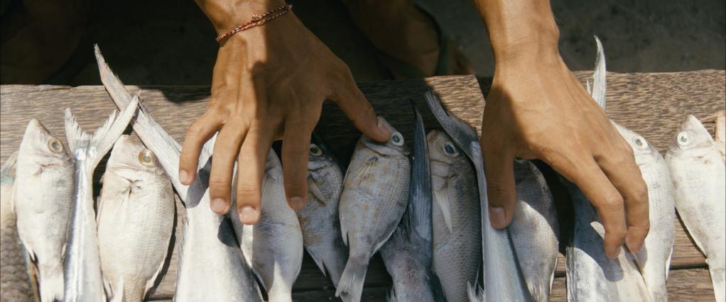 A Barge on the Ocean A Barge on the Ocean