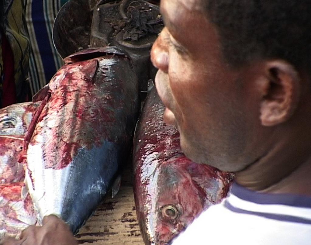 Un aller simple pour Maoré Un aller simple pour Maoré