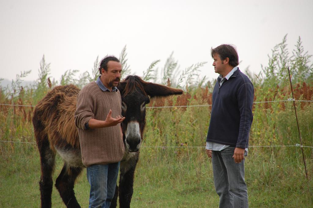 French Film Festival in Japan - 2011