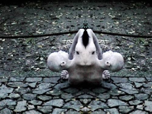 Busan International Film Festival (BIFF) - 2009 Busan International Film Festival (BIFF) - 2009