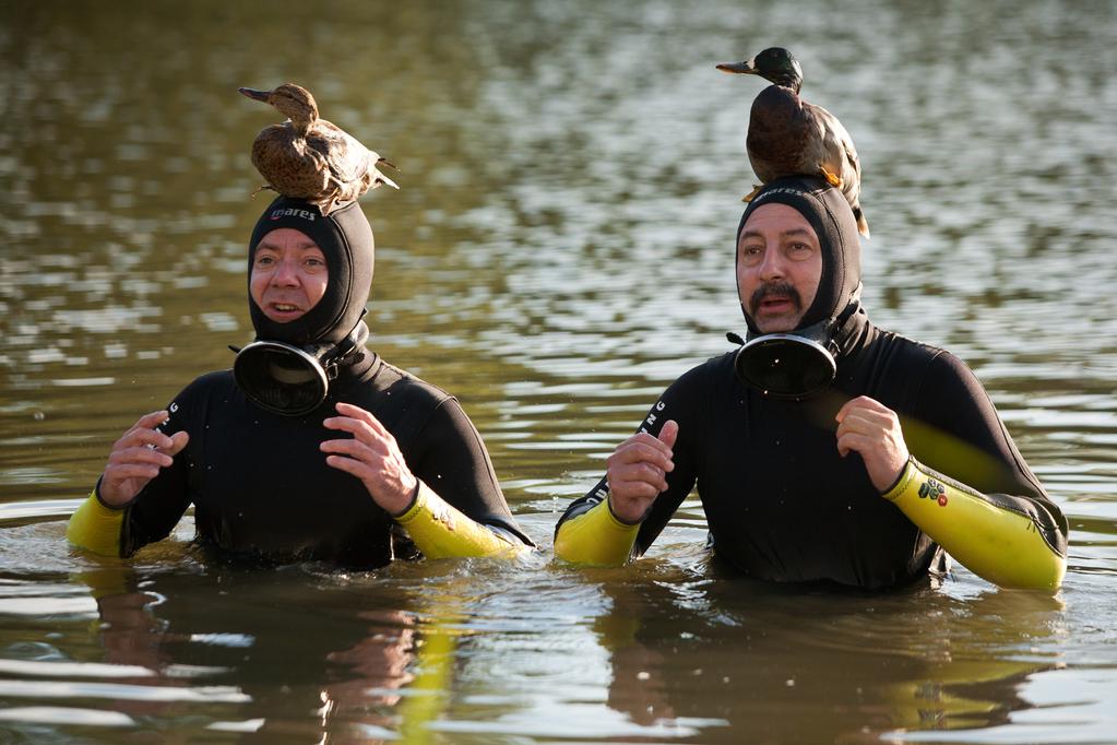 F.B.I.: Frog Butthead Investigators F.B.I.: Frog Butthead Investigators