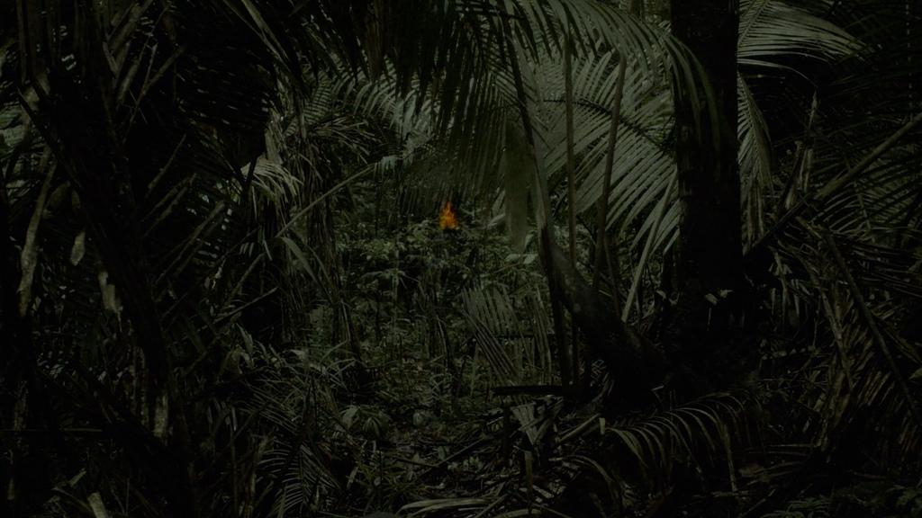 Curupira and the Machine of the Destiny Curupira and the Machine of the Destiny