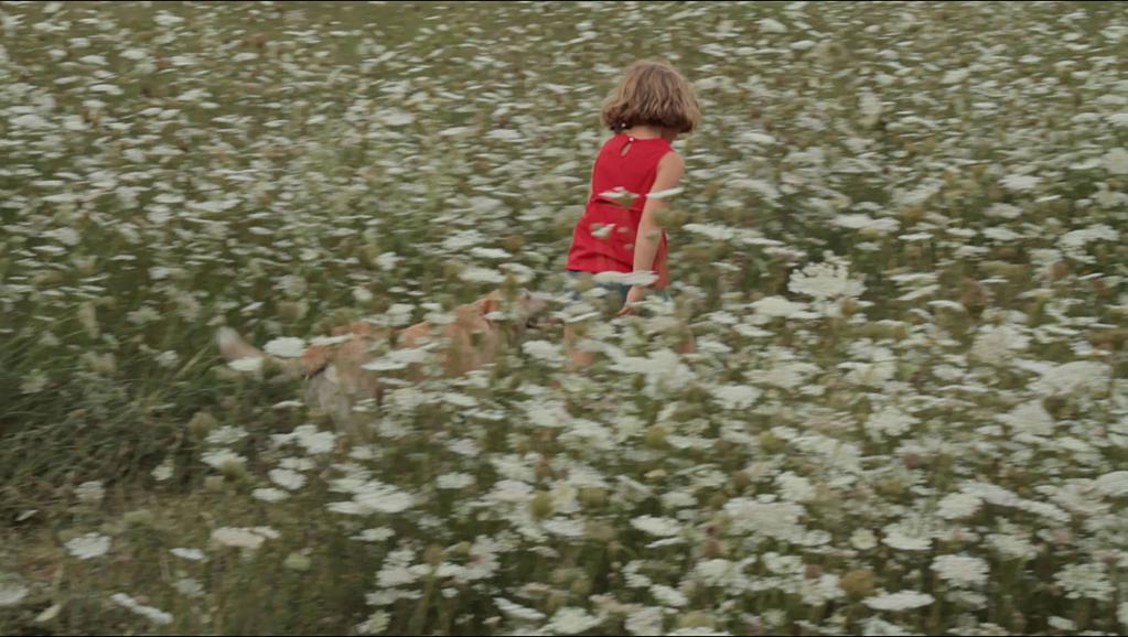 International Film Festival Rotterdam (IFFR) - 2013