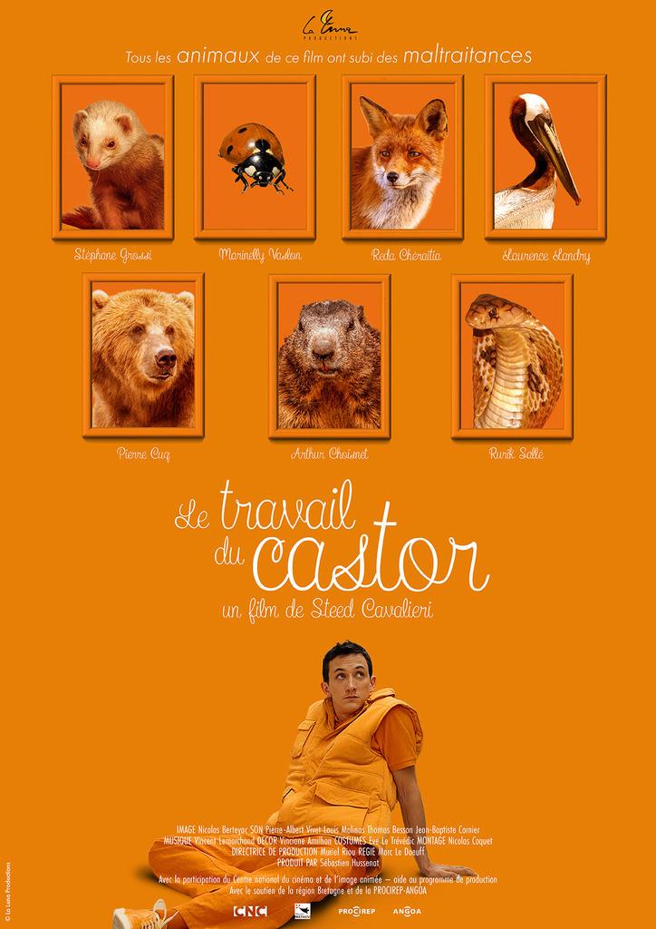 The Beaver’s Work The Beaver’s Work