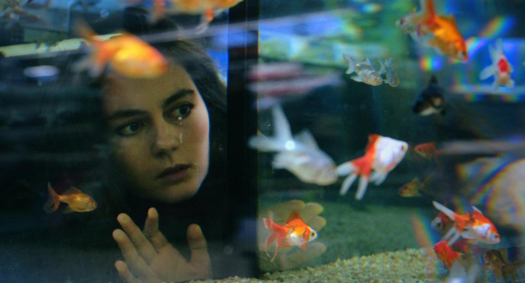 Jardin d'hiver Jardin d'hiver