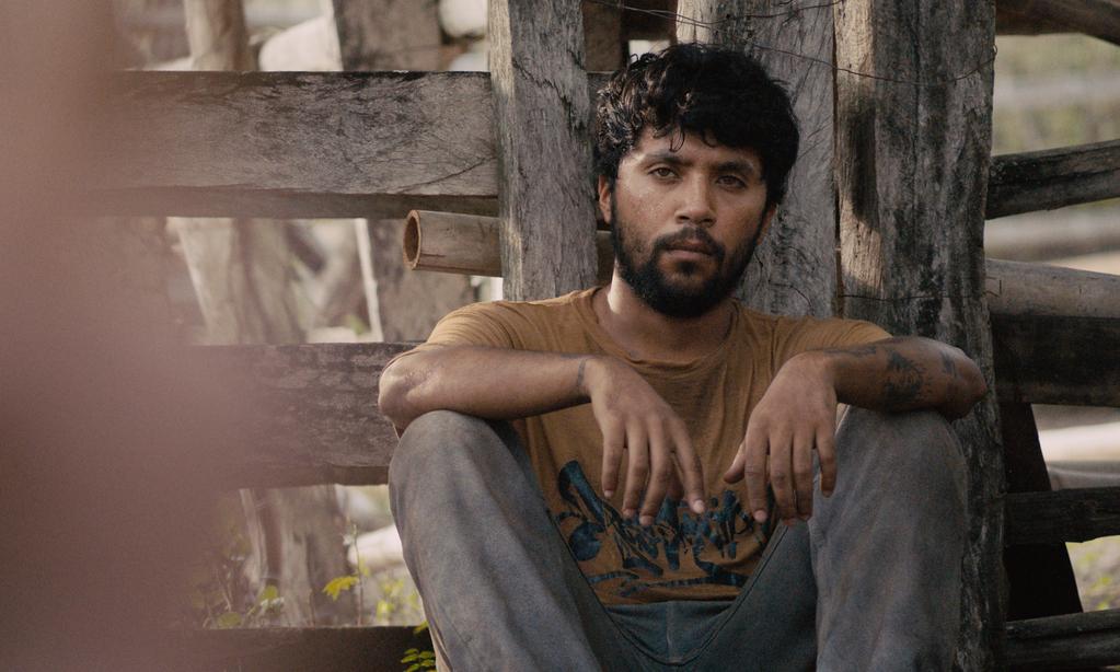 La Couleuvre noire - © Dublin Films - Burning - Vulcana Cinéma - 2025 La Couleuvre noire - © Dublin Films - Burning - Vulcana Cinéma - 2025