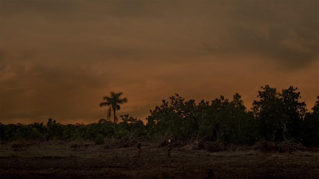 Curupira and the Machine of the Destiny Curupira and the Machine of the Destiny