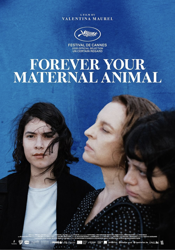 Marina de Tavira - International Poster