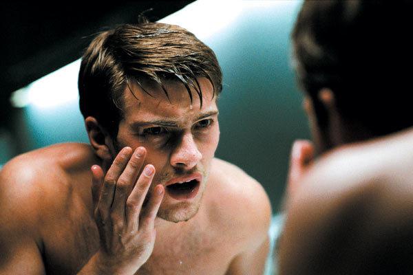 Animal / 仮題:アニマル Animal / 仮題:アニマル