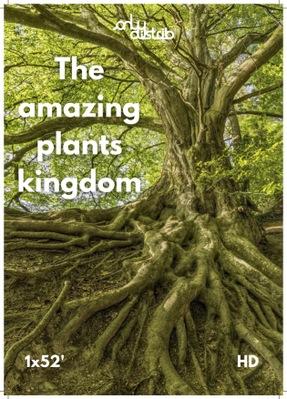 The Amazing Plants' Kingdom - © FIFO Distribution The Amazing Plants' Kingdom - © FIFO Distribution