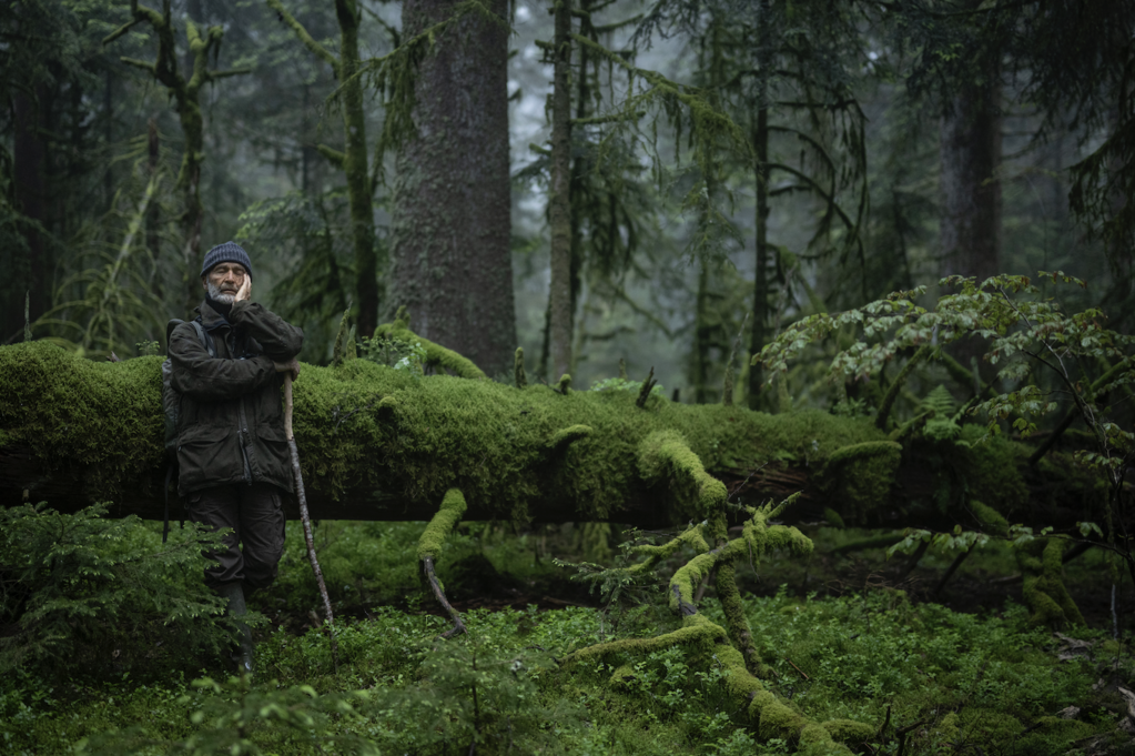Le Chant des forêts - © Vincent Munier Le Chant des forêts - © Vincent Munier