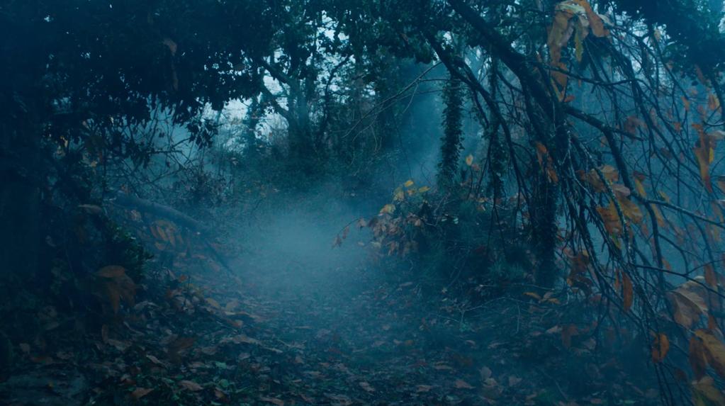 To the Embers To the Embers