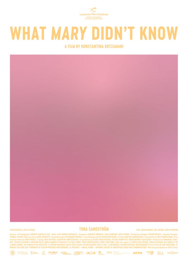 What Mary Didn't Know What Mary Didn't Know