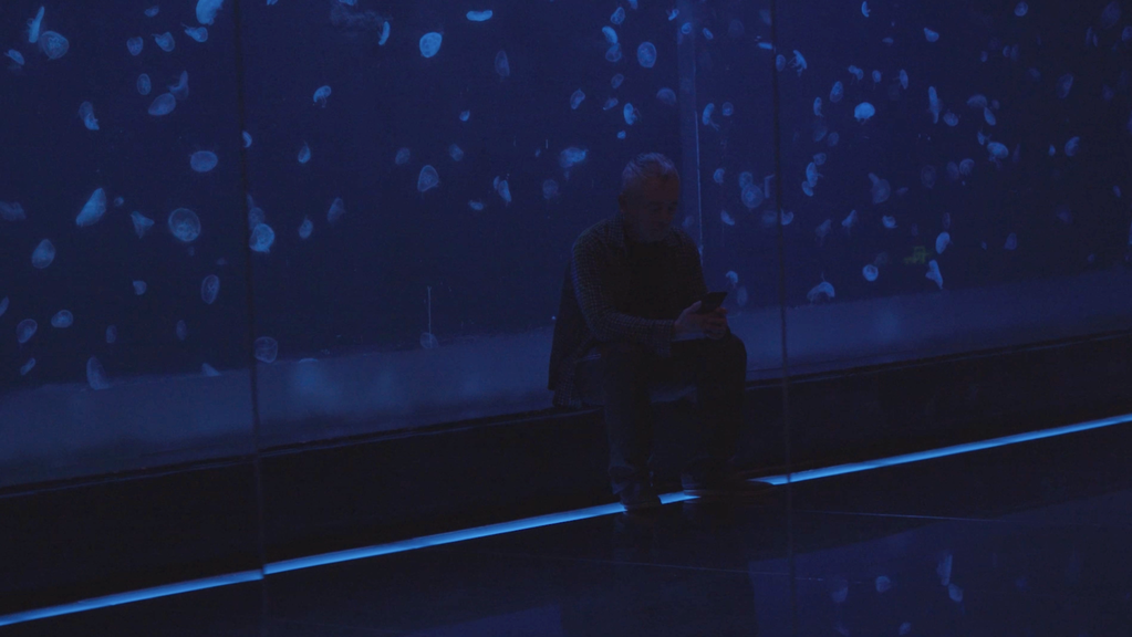 The Moon Also Rises The Moon Also Rises