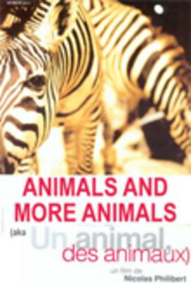 Un animal, varios animales Un animal, varios animales