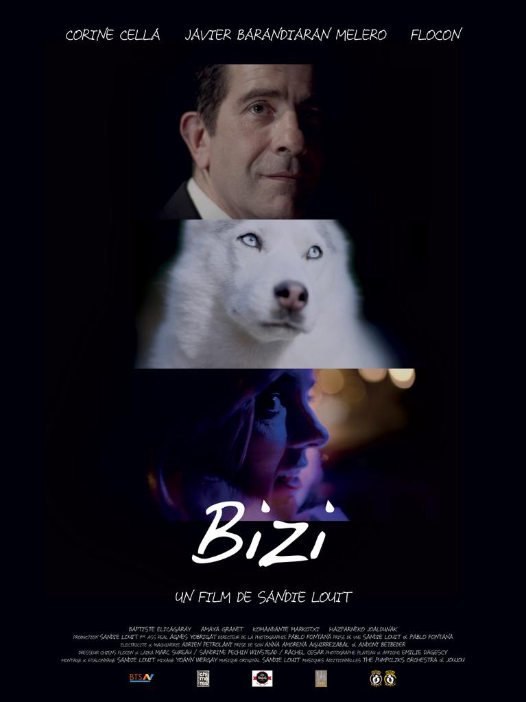 Bizi Bizi