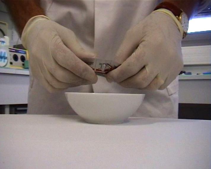 Locarno Film Festival - 2008 Locarno Film Festival - 2008