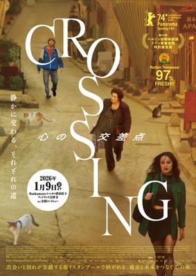 Crossing Istanbul - Japan