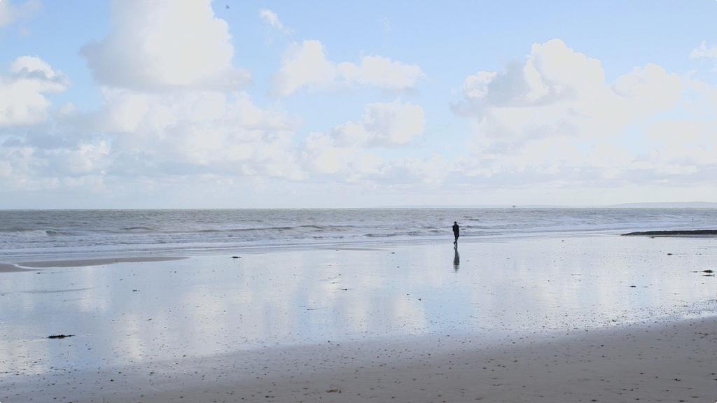 Les Vagues Les Vagues