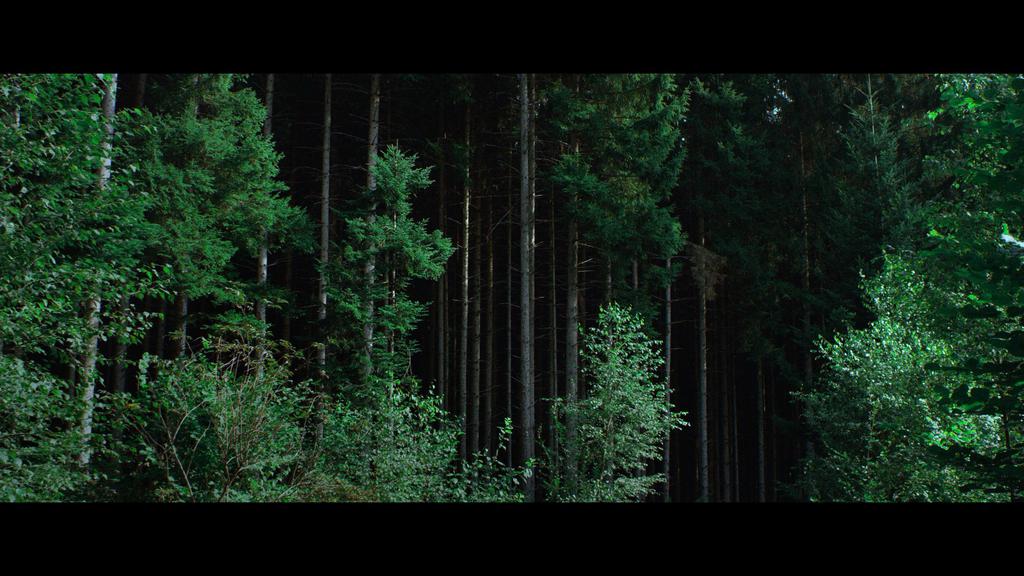 Sur la terre, des orages Sur la terre, des orages