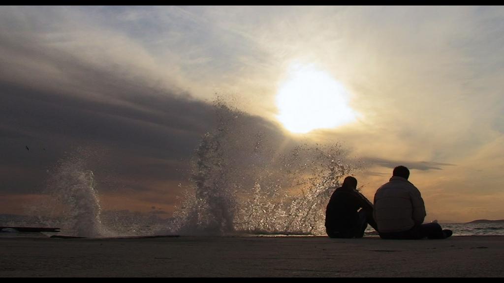 Directors' Fortnight - 2013