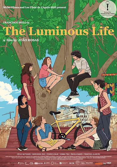The Luminous Life The Luminous Life