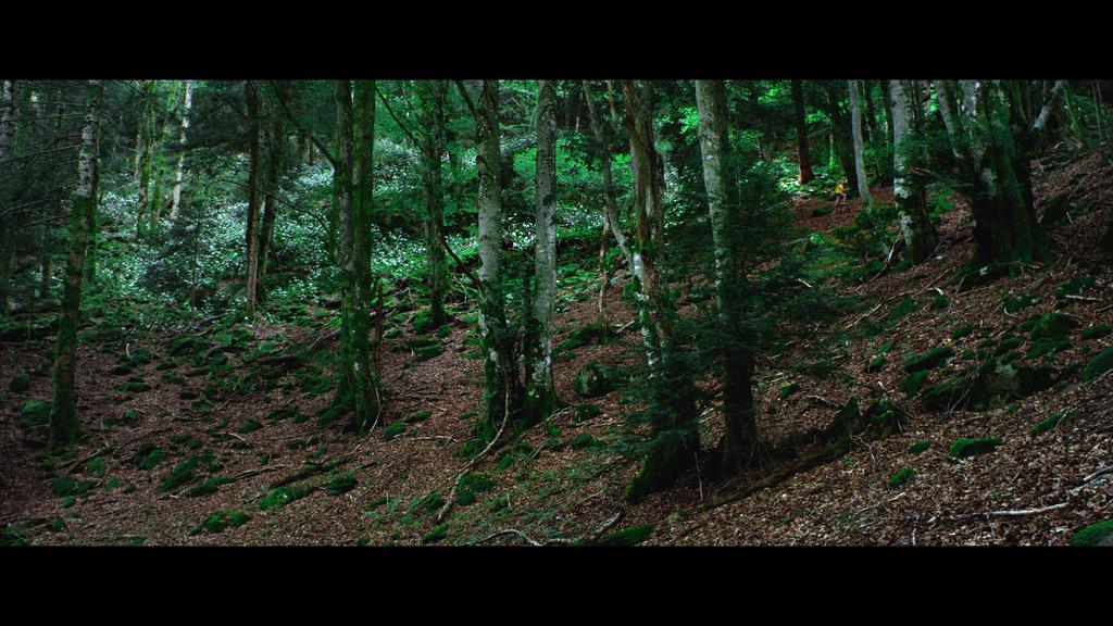 Sur la terre, des orages Sur la terre, des orages