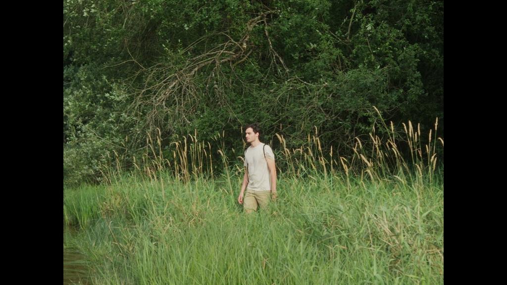 Dream Machine Dream Machine