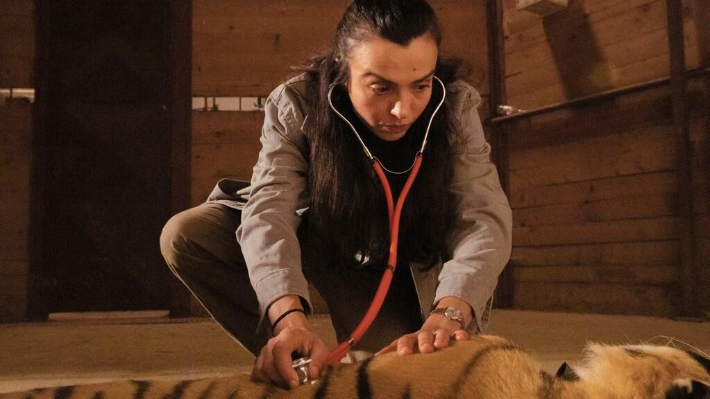 Day of the Tiger - © Condor Distribution Day of the Tiger - © Condor Distribution