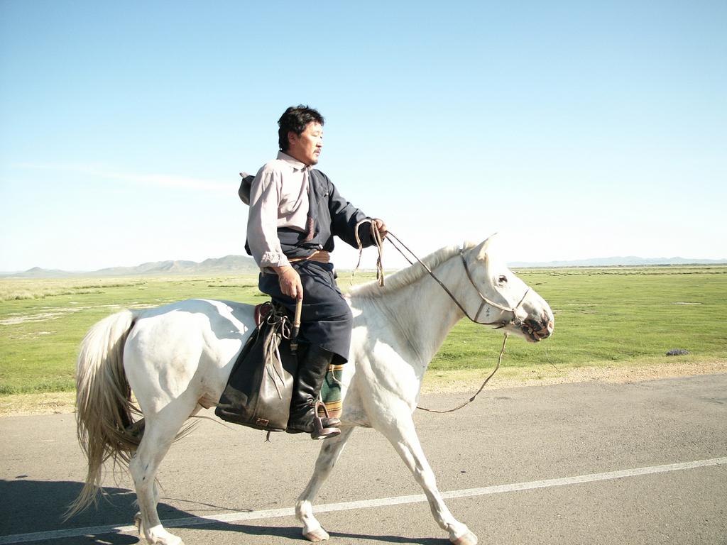 Desert Dream Desert Dream