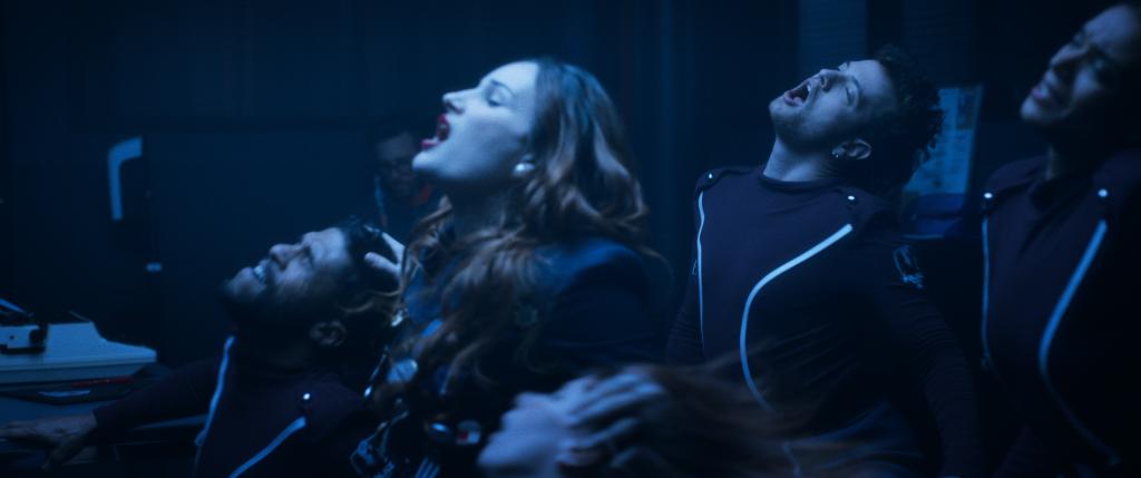 Rose, tulipe et pétunia Rose, tulipe et pétunia