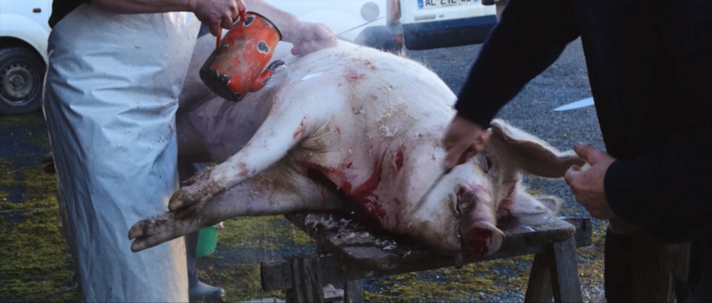 Lou Ganiou Lou Ganiou