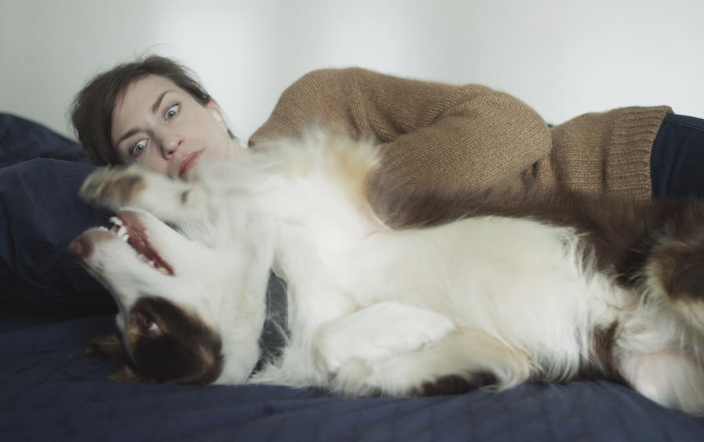 La Fin du dragon La Fin du dragon