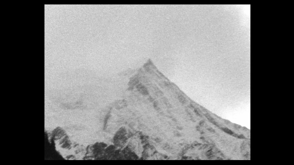 Kiss Me Not Kiss Me Not